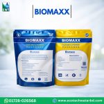 Biomaxx Bacteria Dry Seed – Premium microbial culture for STP, ETP, and industrial wastewater treatment